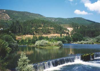 JANEIRO DE BAIXO   CASCATA